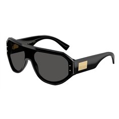 Dolce & Gabbana DG4481 501/87