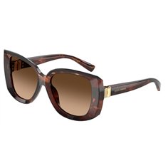 Dolce & Gabbana DG4495 322274