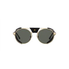 Persol PO2496SZ 114958 2