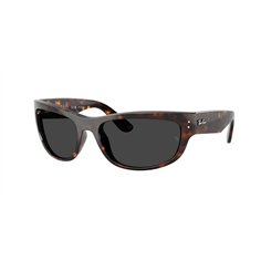 Ray-Ban MEGA BALORAMA RB2289 902/48