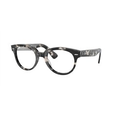 Ray-Ban RX2199V 8117