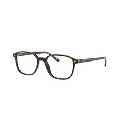 Ray-Ban LEONARD RX5393 2012