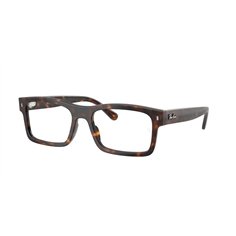 Ray-Ban RX5435 2012