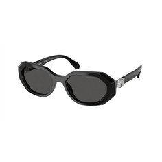 Swarovski SK6028 100187