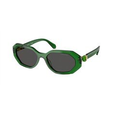 Swarovski SK6028 106487