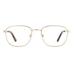 Pierre Cardin P.C. 6885 J5G 2