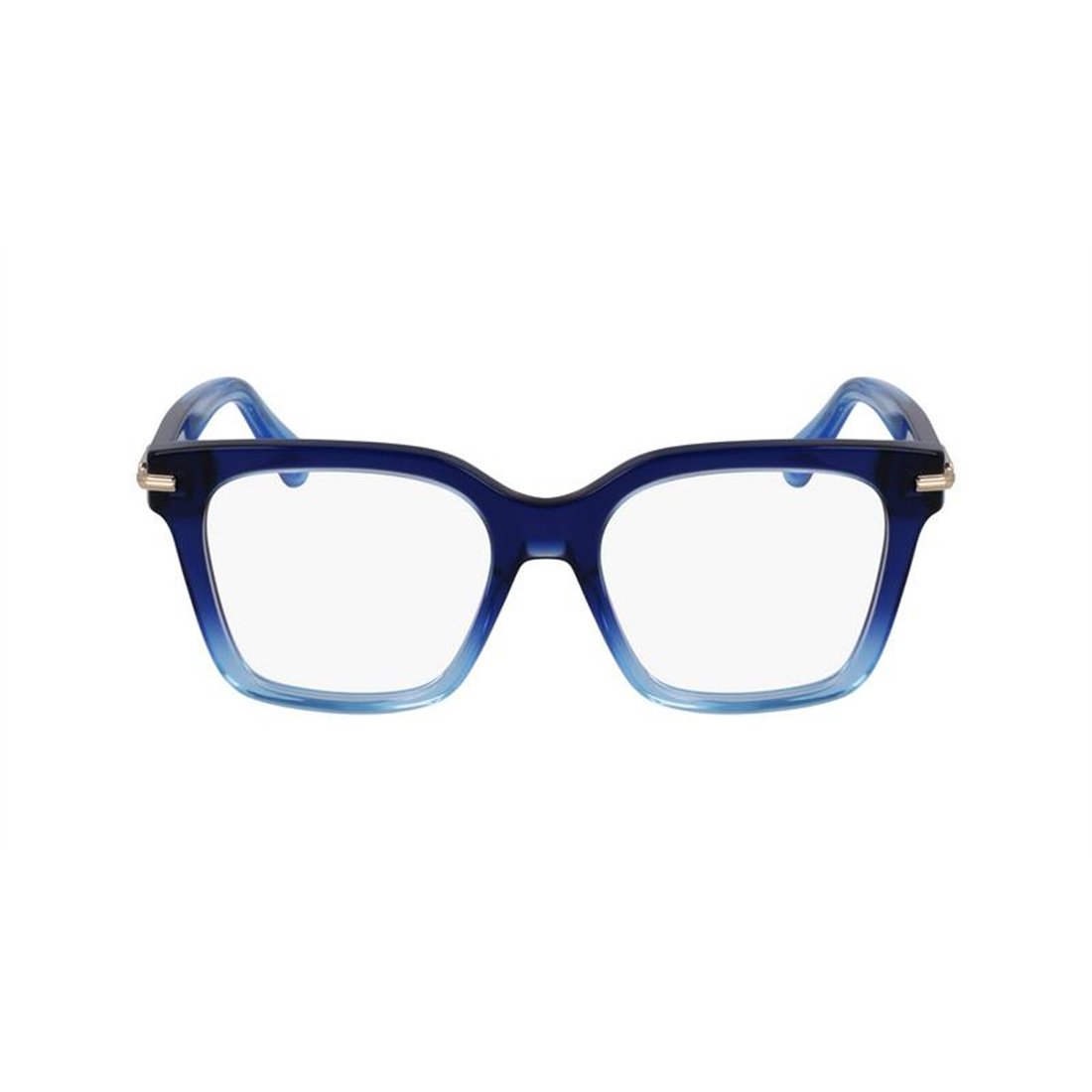 Salvatore Ferragamo SF3009 415