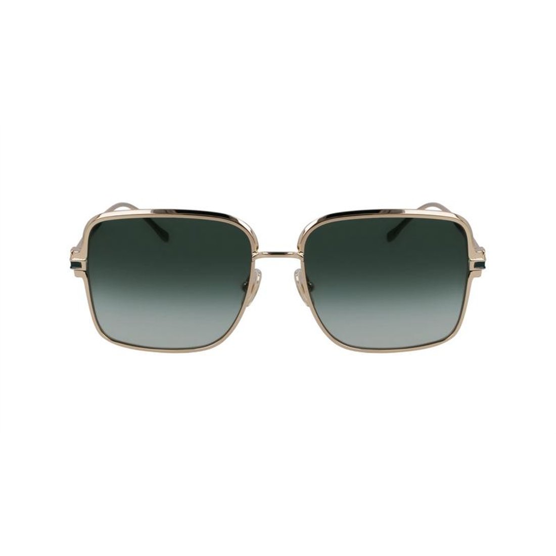 Salvatore Ferragamo SF317S 750