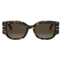 Dior DIORSIGNATURE S13I CD40188I 52F (20F1) 2