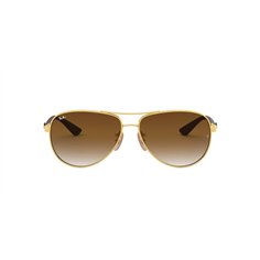 Ray-Ban CARBON FIBRE RB8313 001/51 2