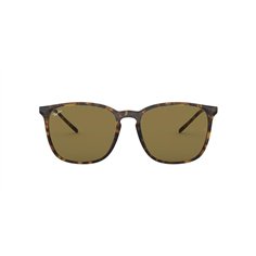 Ray-Ban RB4387 710/73 2