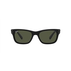 Ray-Ban MR BURBANK RB2283 901/31 2