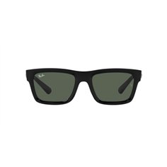 Ray-Ban WARREN RB4396 667771 2