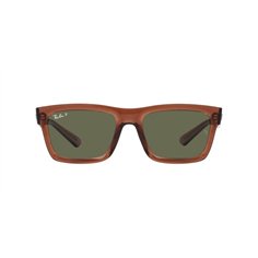 Ray-Ban WARREN RB4396 66789A 2