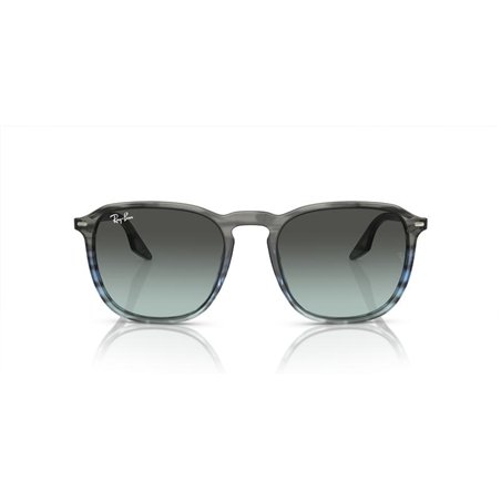 Ray-Ban RB2203 1391GK Ray-Ban RB2203 1391GK
