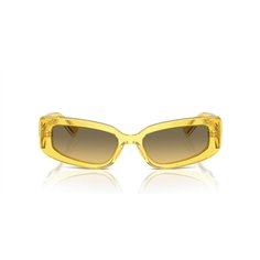Dolce & Gabbana DG4445 343311 2