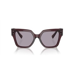 Dolce & Gabbana DG4471 3045AK 2