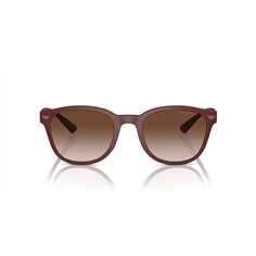 Emporio Armani EA4225U 610113 2
