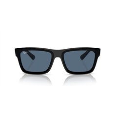 Ray-Ban WARREN RB4396 667780 2