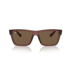 Ray-Ban WARREN RB4396 667873 2