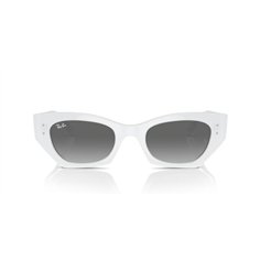 Ray-Ban ZENA RB4430 675911 2
