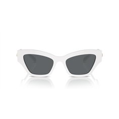 Swarovski SK6021 105087 2