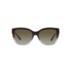 Emporio Armani EA4198 59898E 2