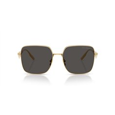 Dolce & Gabbana DG2310 02/87 2