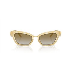 Dolce & Gabbana DG2311 12246E 2
