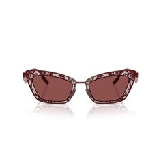 Dolce & Gabbana DG2311 131975 2