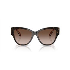 Dolce & Gabbana DG4449 321713 2