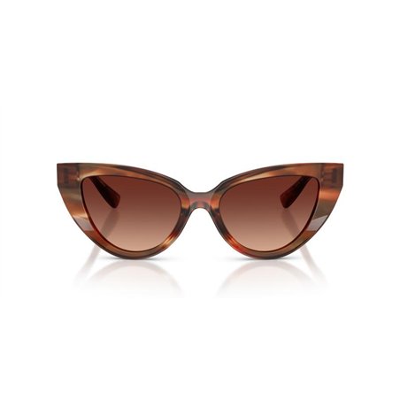 Dolce & Gabbana DG4497 322113