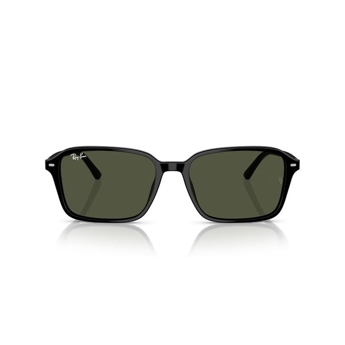 Ray-Ban RAIMOND RB2231 901/31