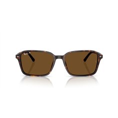 Ray-Ban RAIMOND RB2231 902/57 2