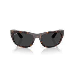 Ray-Ban MEGA BALORAMA RB2289 902/48 2