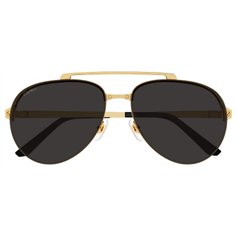 Cartier CT0354S 001 2