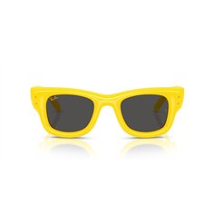 Ray-Ban WAYFARER PUFFER RB4940 683087 2