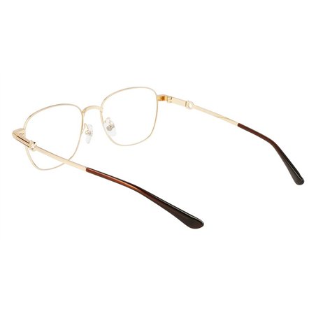 Salvatore Ferragamo SF9007 717